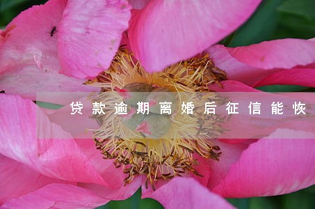 贷款逾期离婚后征信能恢复吗 贷款逾期离婚后征信能恢复吗