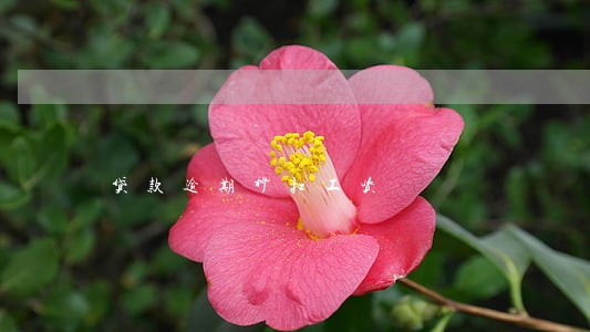 贷款逾期秒扣工资 贷款逾期秒扣工资
