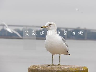 贷款逾期移交当地 贷款逾期移交当地