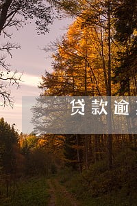 贷款逾期立案后还清 贷款逾期立案后还清
