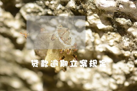 贷款逾期立案规定 贷款逾期立案规定