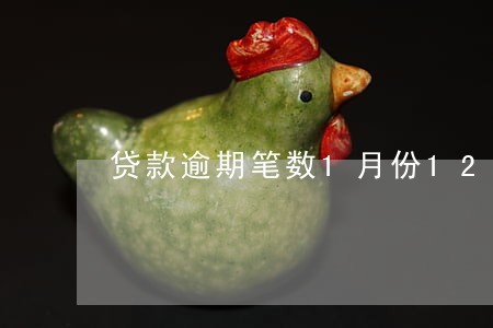 贷款逾期笔数1月份12 贷款逾期笔数1月份12