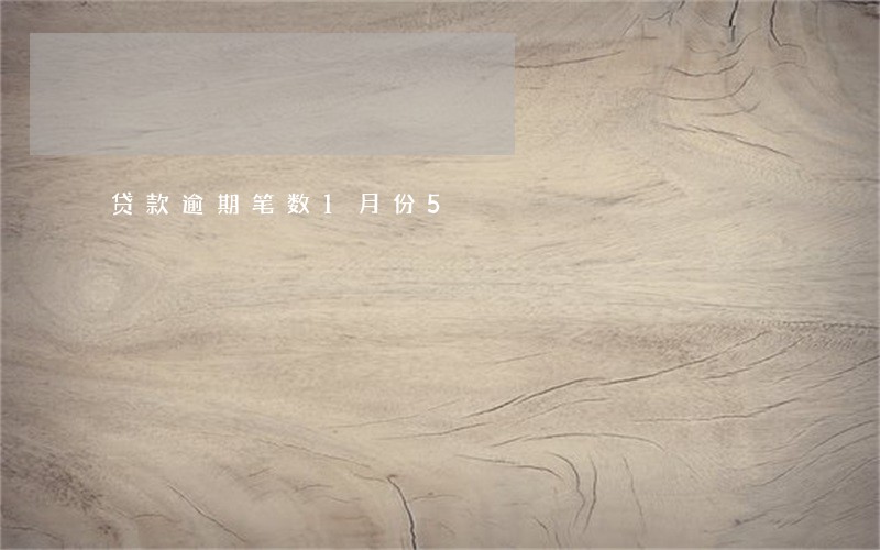 贷款逾期笔数1月份5 贷款逾期笔数1月份5