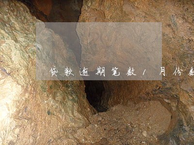 贷款逾期笔数1月份数10 贷款逾期笔数1月份数10