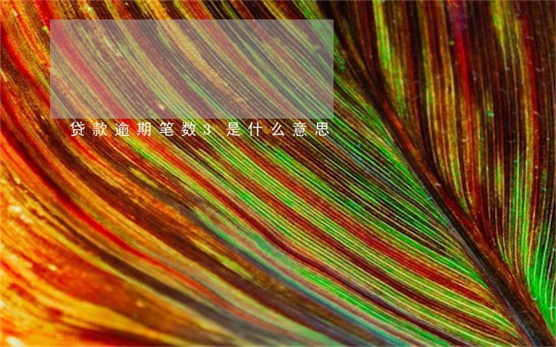 贷款逾期笔数3是什么意思 贷款逾期笔数3是什么意思
