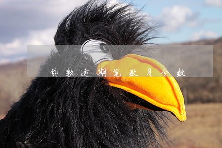 贷款逾期笔数月分数 贷款逾期笔数月分数