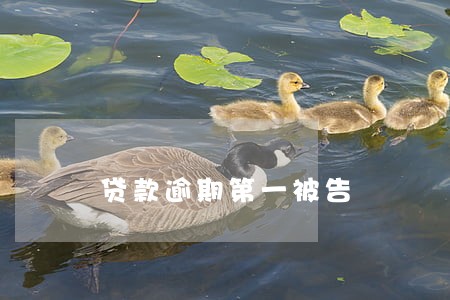 贷款逾期第一被告 贷款逾期第一被告