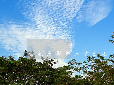 贷款逾期第三方已还 贷款逾期第三方已还