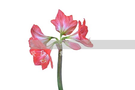 贷款逾期算什么案件 贷款逾期算什么案件