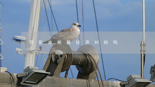 贷款逾期算经济纠纷吗 贷款逾期算经济纠纷吗
