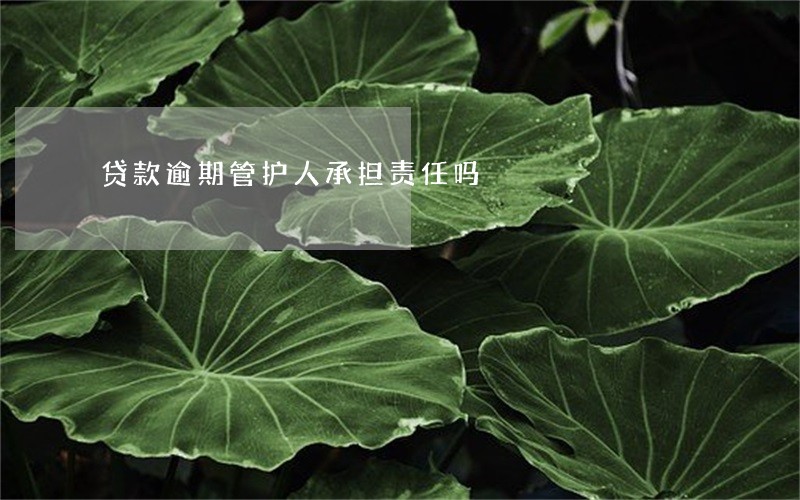 贷款逾期管护人承担责任吗 贷款逾期管护人承担责任吗