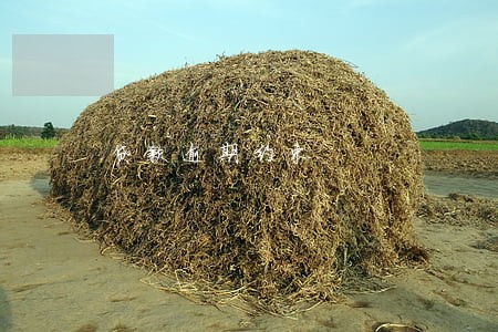 贷款逾期约束 贷款逾期约束