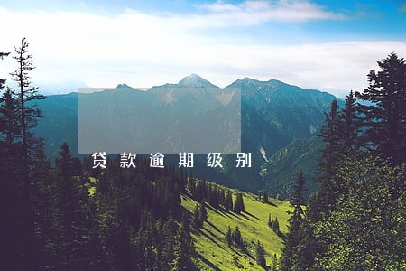 贷款逾期级别 贷款逾期级别