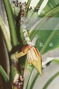 贷款逾期纳入基础数据库 贷款逾期纳入基础数据库