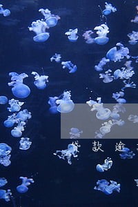 贷款逾期终止合同6 贷款逾期终止合同6