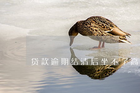 贷款逾期结清后坐不了高铁 贷款逾期结清后坐不了高铁