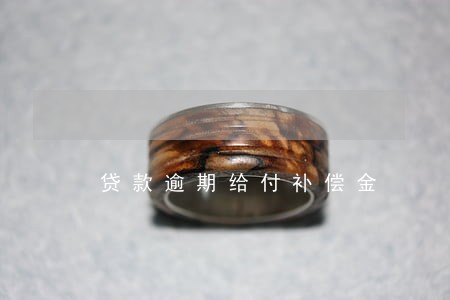 贷款逾期给付补偿金 贷款逾期给付补偿金