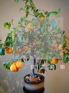 贷款逾期给家里人发短信 贷款逾期给家里人发短信