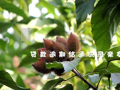贷款逾期给通讯录亲友打电话 贷款逾期给通讯录亲友打电话