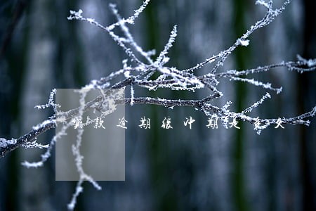 贷款逾期缓冲期是多久 贷款逾期缓冲期是多久