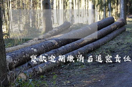 贷款逾期缴清后追究责任吗 贷款逾期缴清后追究责任吗