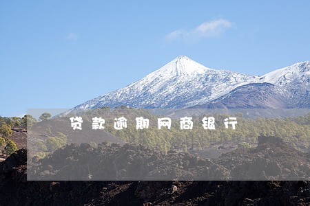 贷款逾期网商银行