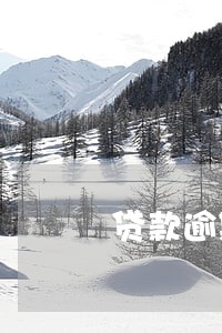 贷款逾期网络公布名单 贷款逾期网络公布名单