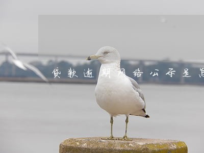 贷款逾期网络公示是怎么的吗 贷款逾期网络公示是怎么的吗
