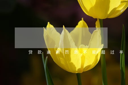 贷款逾期罚息不能超过半年 贷款逾期罚息不能超过半年