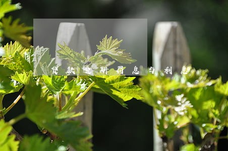 贷款逾期罚息与利息 贷款逾期罚息与利息