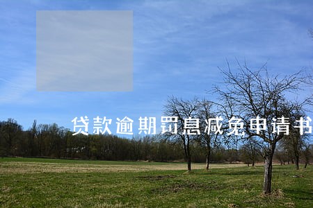 贷款逾期罚息减免申请书 贷款逾期罚息减免申请书