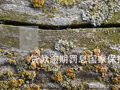 贷款逾期罚息国家保护多少 贷款逾期罚息国家保护多少