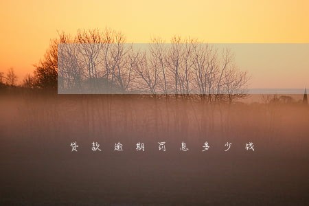 贷款逾期罚息多少钱 贷款逾期罚息多少钱
