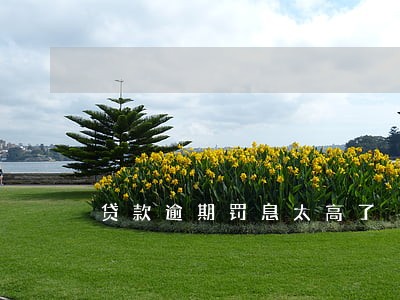 贷款逾期罚息太高了 贷款逾期罚息太高了