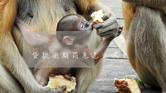 贷款逾期罚息怎么减免 贷款逾期罚息怎么减免