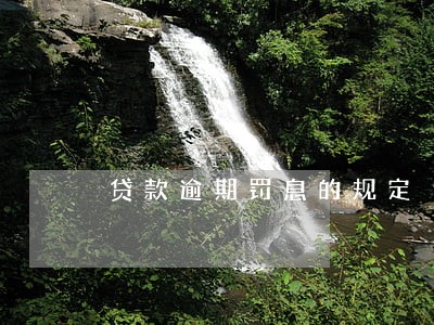 贷款逾期罚息的规定 贷款逾期罚息的规定