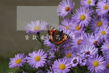 贷款逾期罚息算法 贷款逾期罚息算法