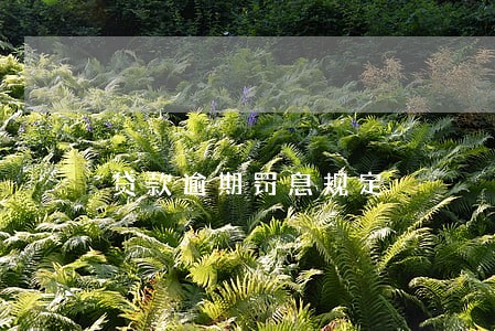 贷款逾期罚息规定 贷款逾期罚息规定