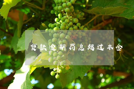 贷款逾期罚息超过本金 贷款逾期罚息超过本金