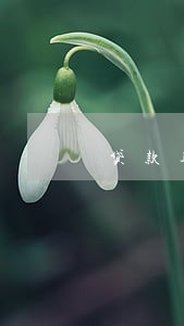 贷款逾期罚本金 贷款逾期罚本金