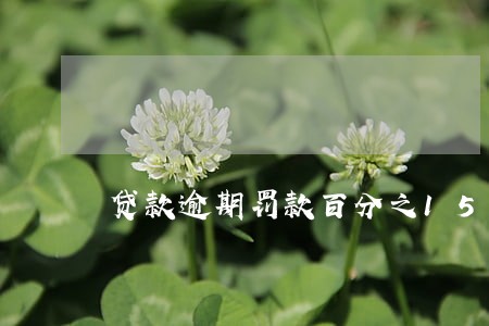 贷款逾期罚款百分之150 贷款逾期罚款百分之150