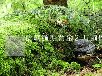 贷款逾期罚金2万拘留15天 贷款逾期罚金2万拘留15天
