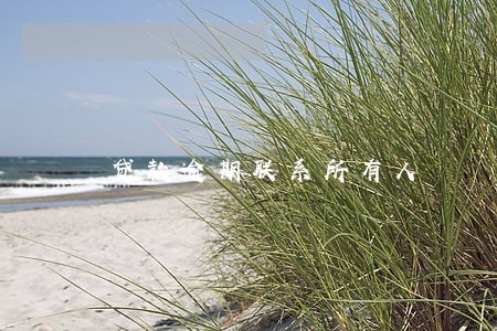 贷款逾期联系所有人 贷款逾期联系所有人