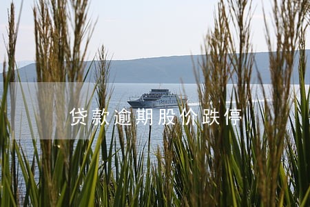 贷款逾期股价跌停