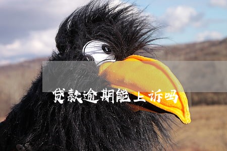贷款逾期能上诉吗 贷款逾期能上诉吗