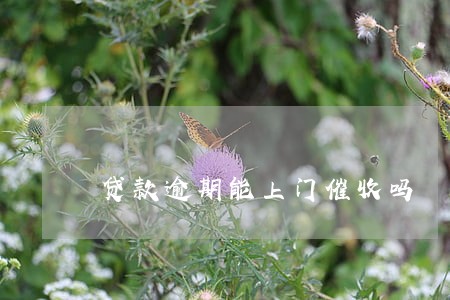贷款逾期能上门催收吗 贷款逾期能上门催收吗