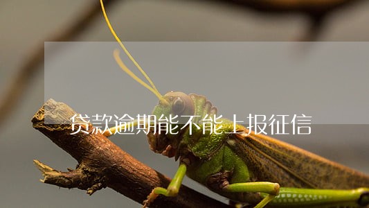 贷款逾期能不能上报征信 贷款逾期能不能上报征信