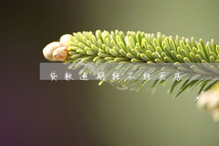 贷款逾期能不能买房