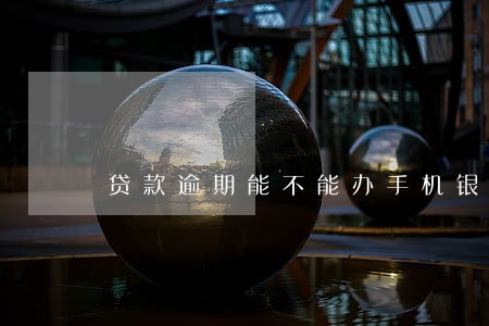 贷款逾期能不能办手机银行 贷款逾期能不能办手机银行