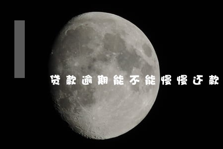 贷款逾期能不能慢慢还款 贷款逾期能不能慢慢还款